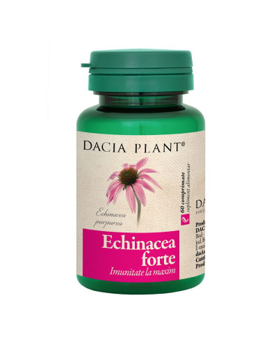 Echinacea forte x 60cp (Dacia Pl)