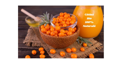 Cătina: Super-Alimentul pentru Imunitate și Sănătate
