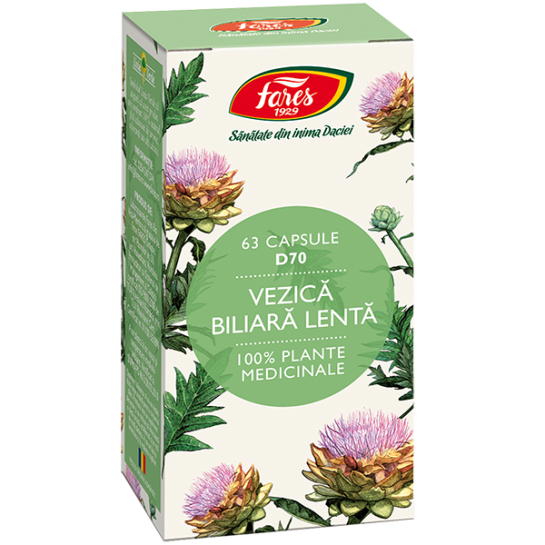 Vezica biliara lenta x 63cps (Fares)
