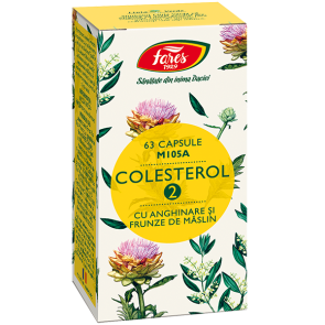 Colesterol 2 cu anghin,fr.maslin x 63cps