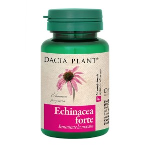 Echinacea forte x 60cp (Dacia Pl)